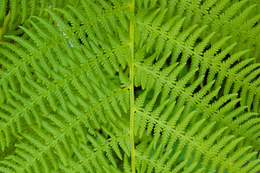 Similar image 767994