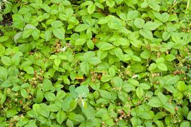 Similar image 767995