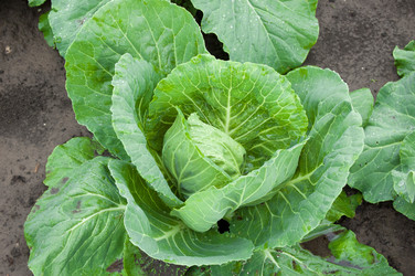 Similar image 767996