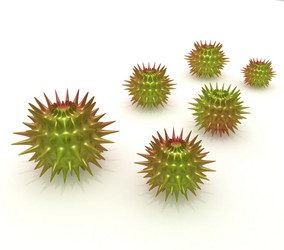 Similar image 768016