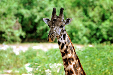 Similar image 768034