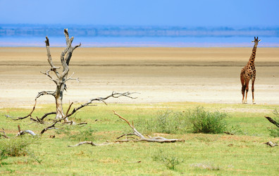 Similar image 768039