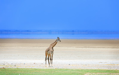 Similar image 768040