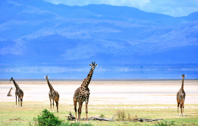 Similar image 768045