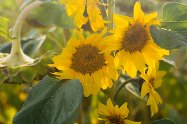 Similar image 768048