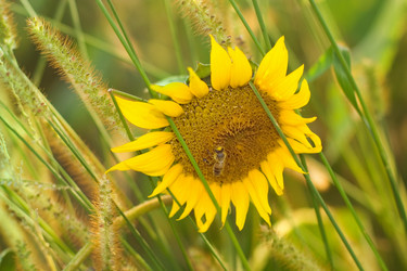 Similar image 768050