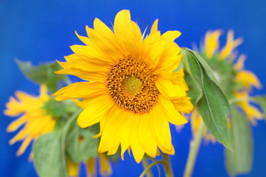 Similar image 768051