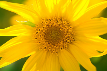 Similar image 768052