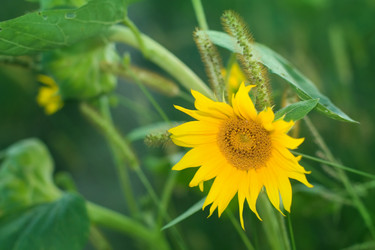 Similar image 768053