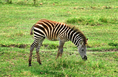 Similar image 768057