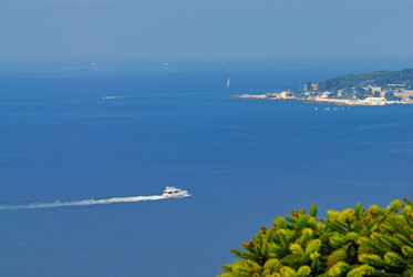 Similar image 768112