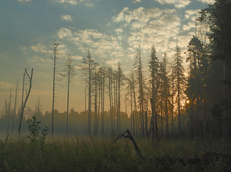 Similar image 768120