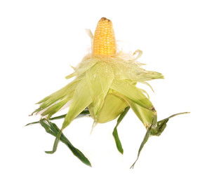 Similar image 768140