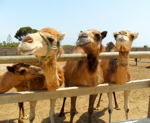 Similar image 768141