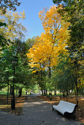 Similar image 768188