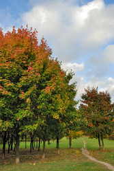 Similar image 768189