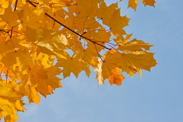 Similar image 768192