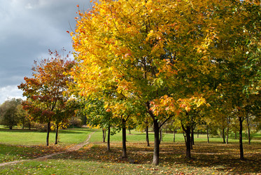 Similar image 768194