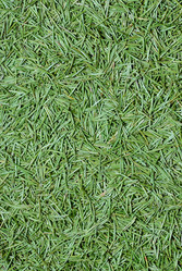 Similar image 768197