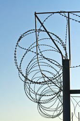 Similar image 768264