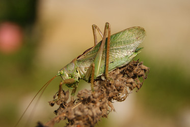 Similar image 768267