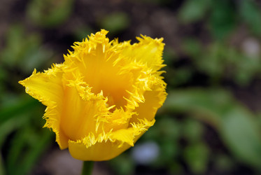 Similar image 768268