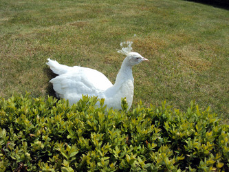 Similar image 768286