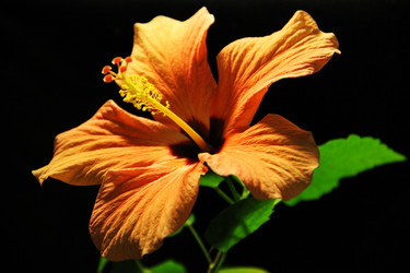 Similar image 768360