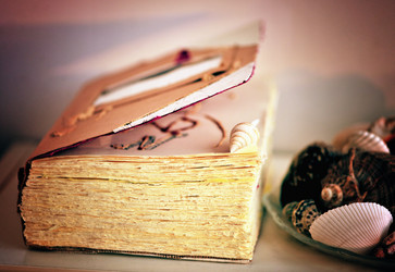 Similar image 768494