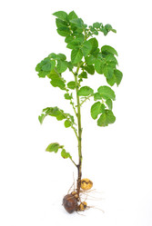 Similar image 768565