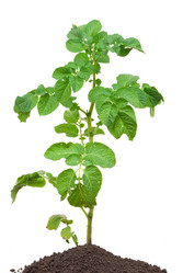 Similar image 768569