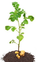 Similar image 768571