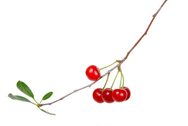 Similar image 768579