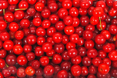 Similar image 768589