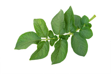 Similar image 768605