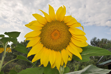 Similar image 768728