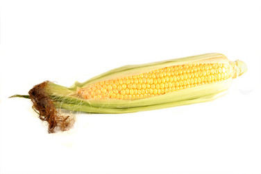 Similar image 768734