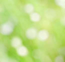 Similar image 768789