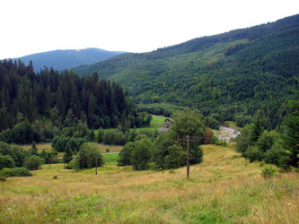 Similar image 768807