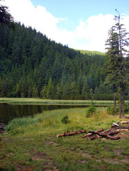 Similar image 768834