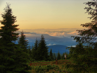 Similar image 768836