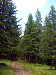 Similar image 768837