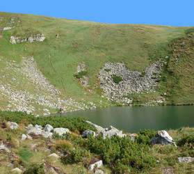 Similar image 768842