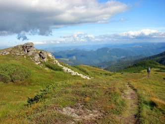 Similar image 768843