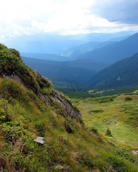 Similar image 768844