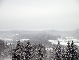 Similar image 768849