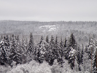 Similar image 768856