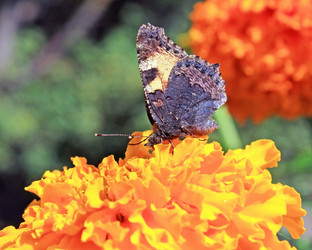 Similar image 768857