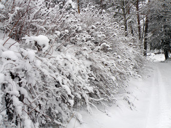 Similar image 768863