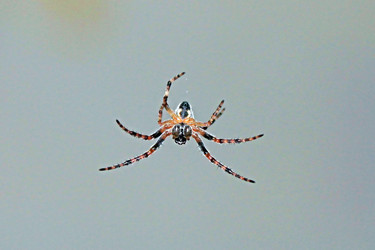 Similar image 768866